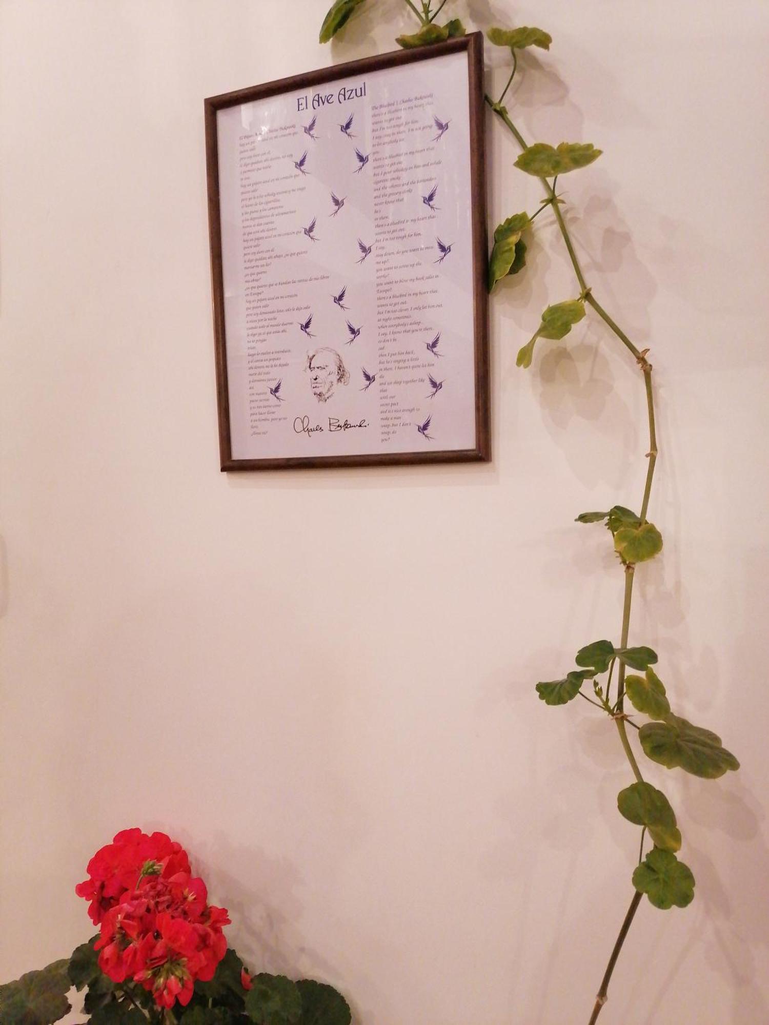 El Ave Azul Boutique Hotel Cusco Ngoại thất bức ảnh